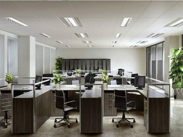 学习动力孩子叛逆费用是多少