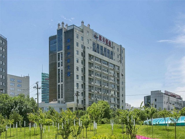 辽宁生物质颗粒木片燃烧机费用